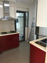 Blk 1F The Pinnacle@Duxton (Bukit Merah), HDB 4 Rooms #179426142